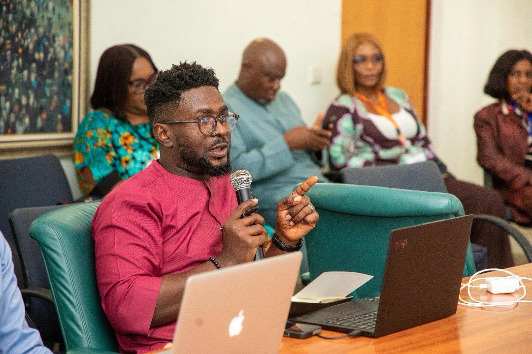 Dele Fayemi mentoring emerging professionals